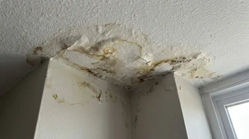 נזקי רטיבות בגג בניין הדורשים איטום